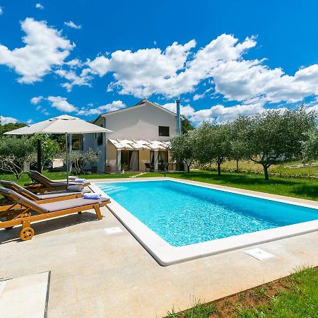 Pool Premium Apartment 弗尔萨尔 外观 照片