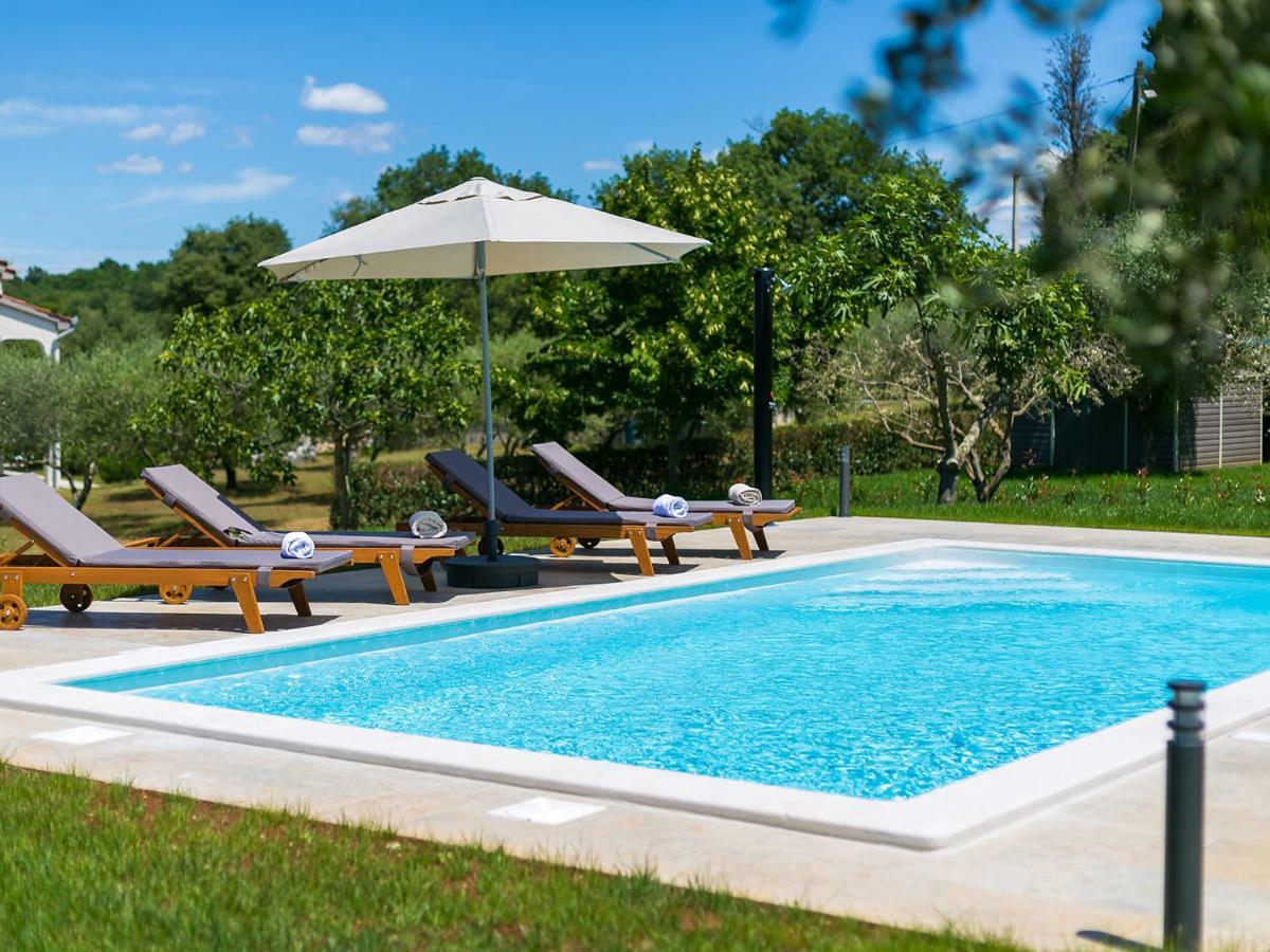 Pool Premium Apartment 弗尔萨尔 外观 照片