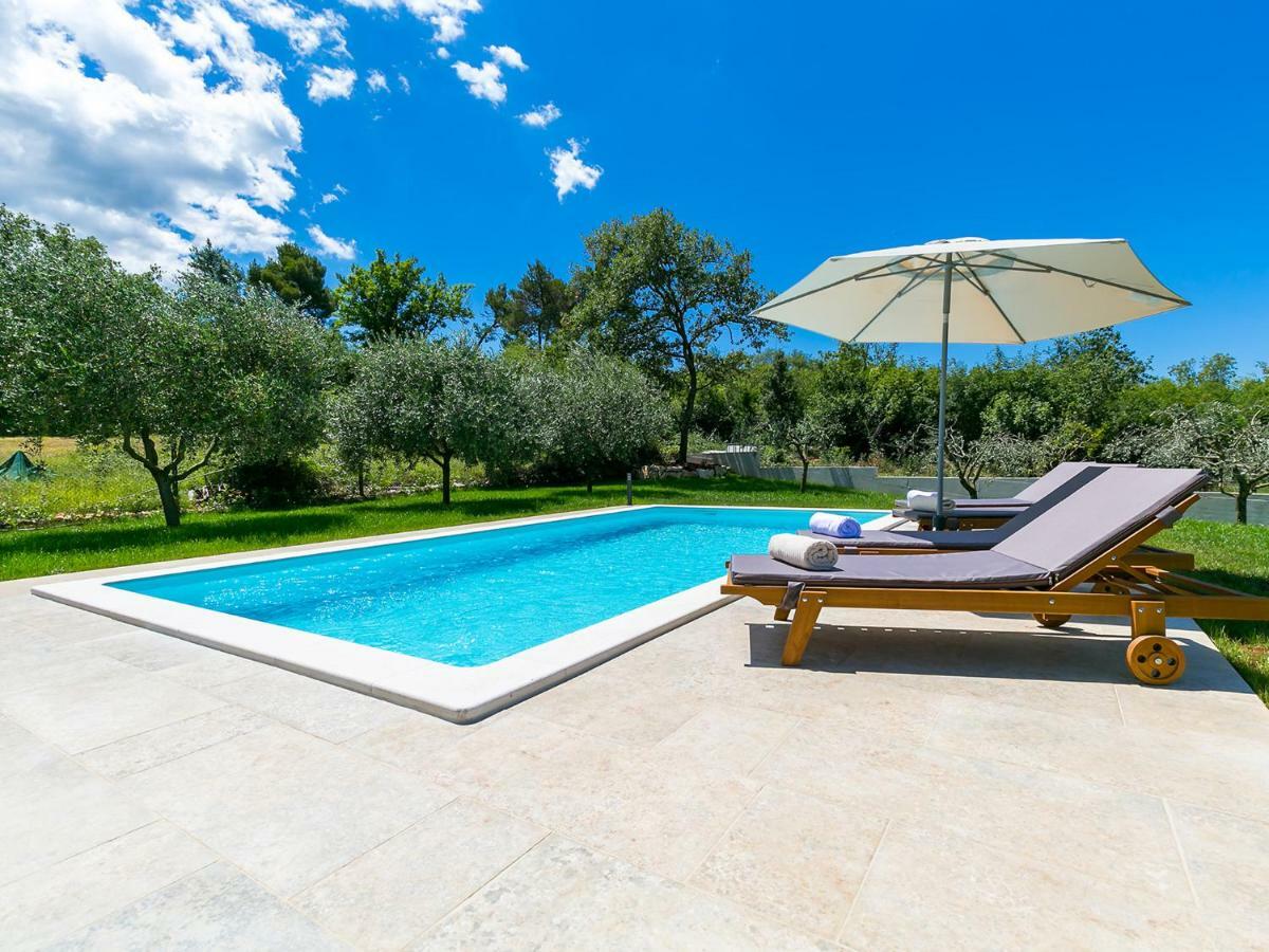 Pool Premium Apartment 弗尔萨尔 外观 照片