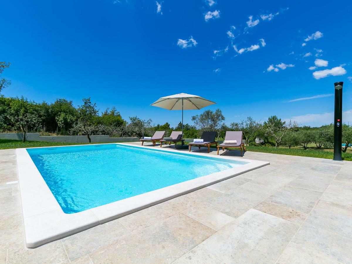 Pool Premium Apartment 弗尔萨尔 外观 照片